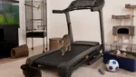 Kinder, Haustiere & Laufband: Kuriose Anekdoten